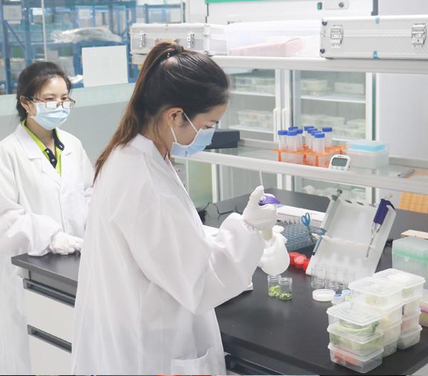 食品安全檢測(cè)3