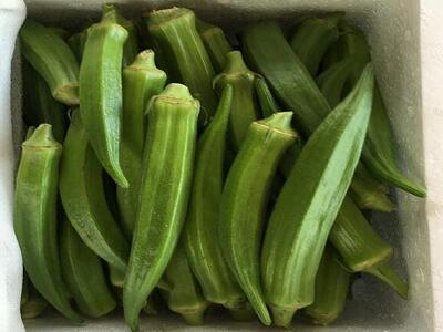 1760173099.jpg tupian_qiukui2.jpg