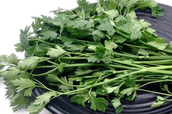 1760174358.jpg tupian_xiangqin2.jpg