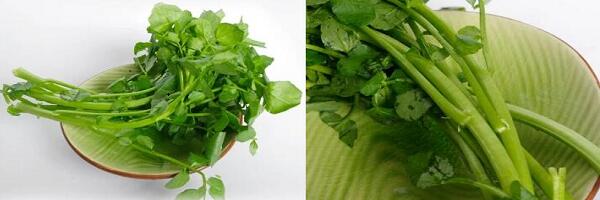 1760176086.jpg tupian_xiyangcai2.jpg