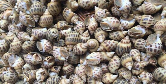 1760257448.jpg tupian_hualuo2.jpg