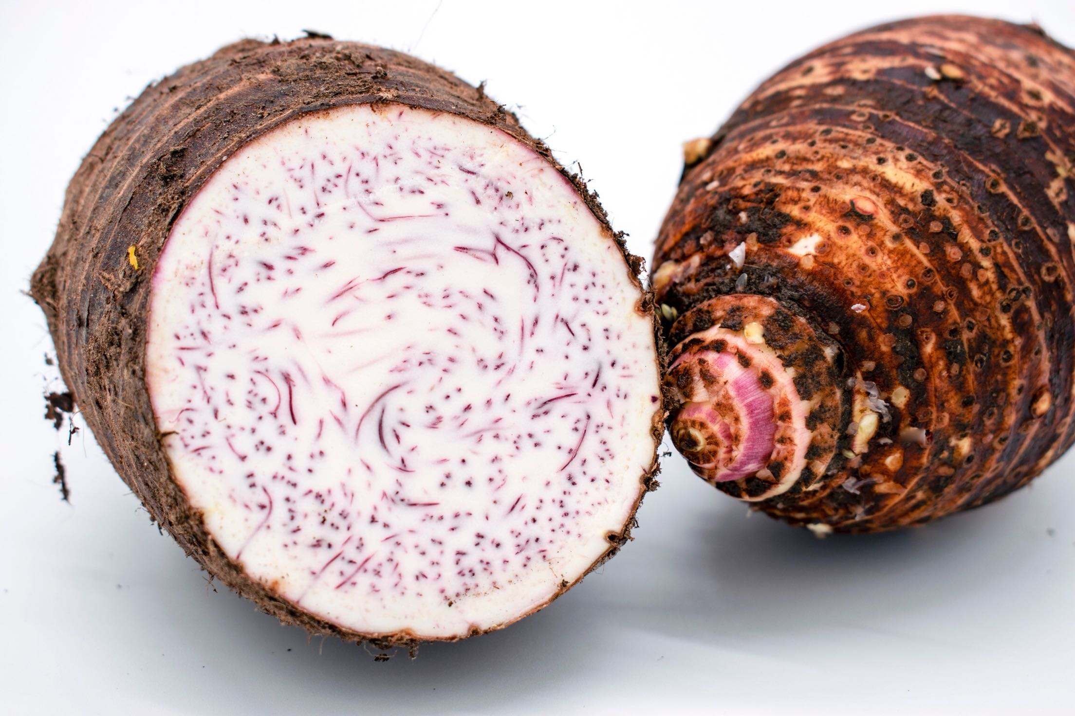 1774258006938142.jpeg b4b13795e84a48a68ccdfa3ad8ea38bc.jpeg